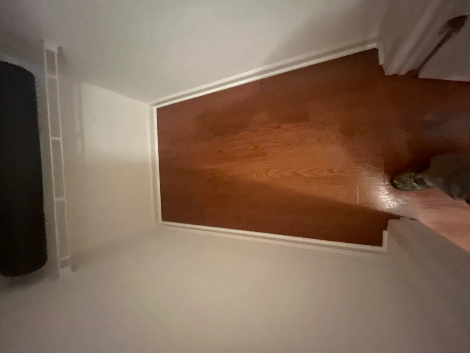 Newly finished wooden floor in a small space with white walls and a step, featuring a portion of a shoe in the corner — serving Dallas, GA.