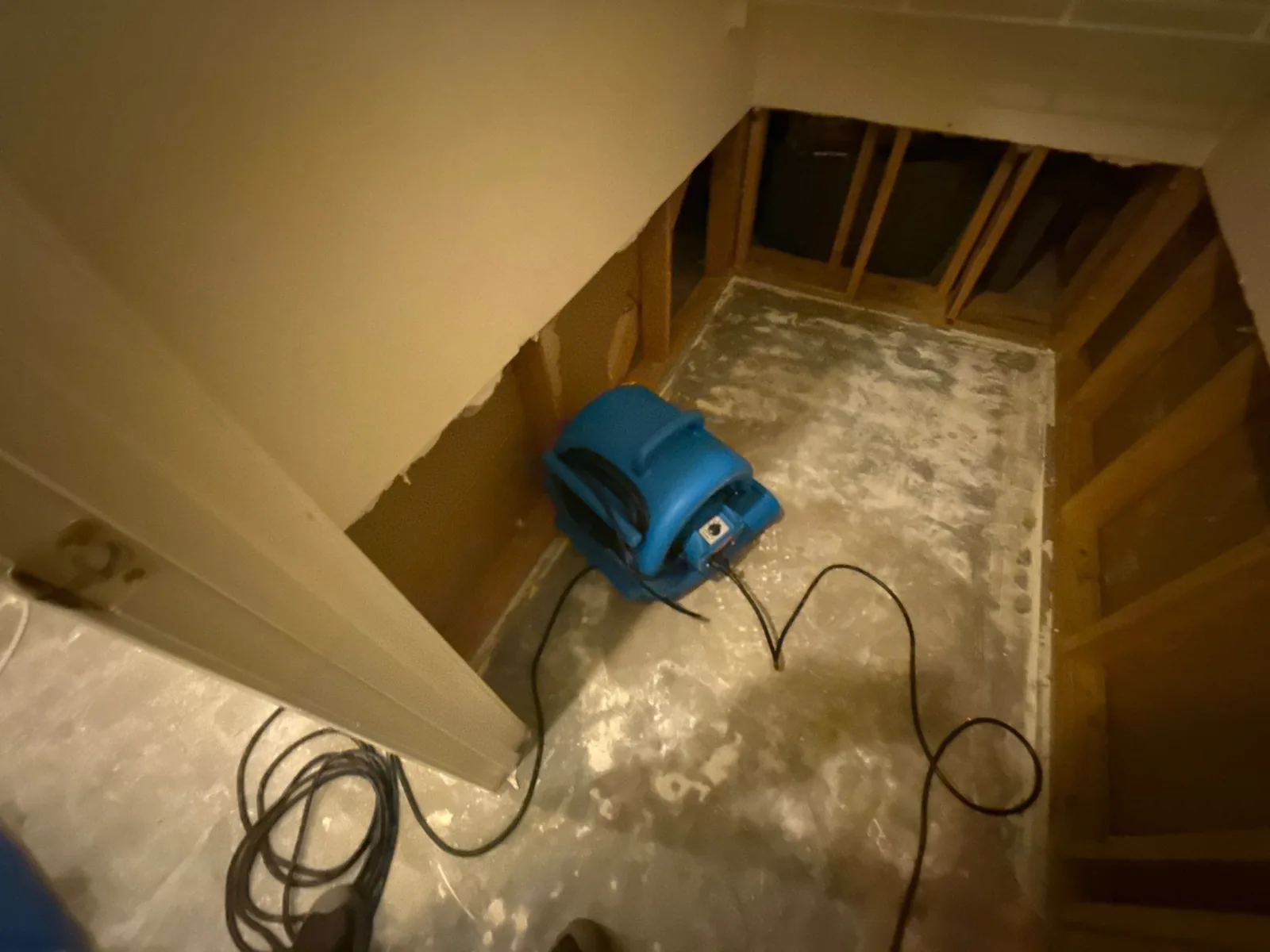 Blue air mover in a room with removed drywall and exposed studs during water mitigation — serving Dallas, GA.