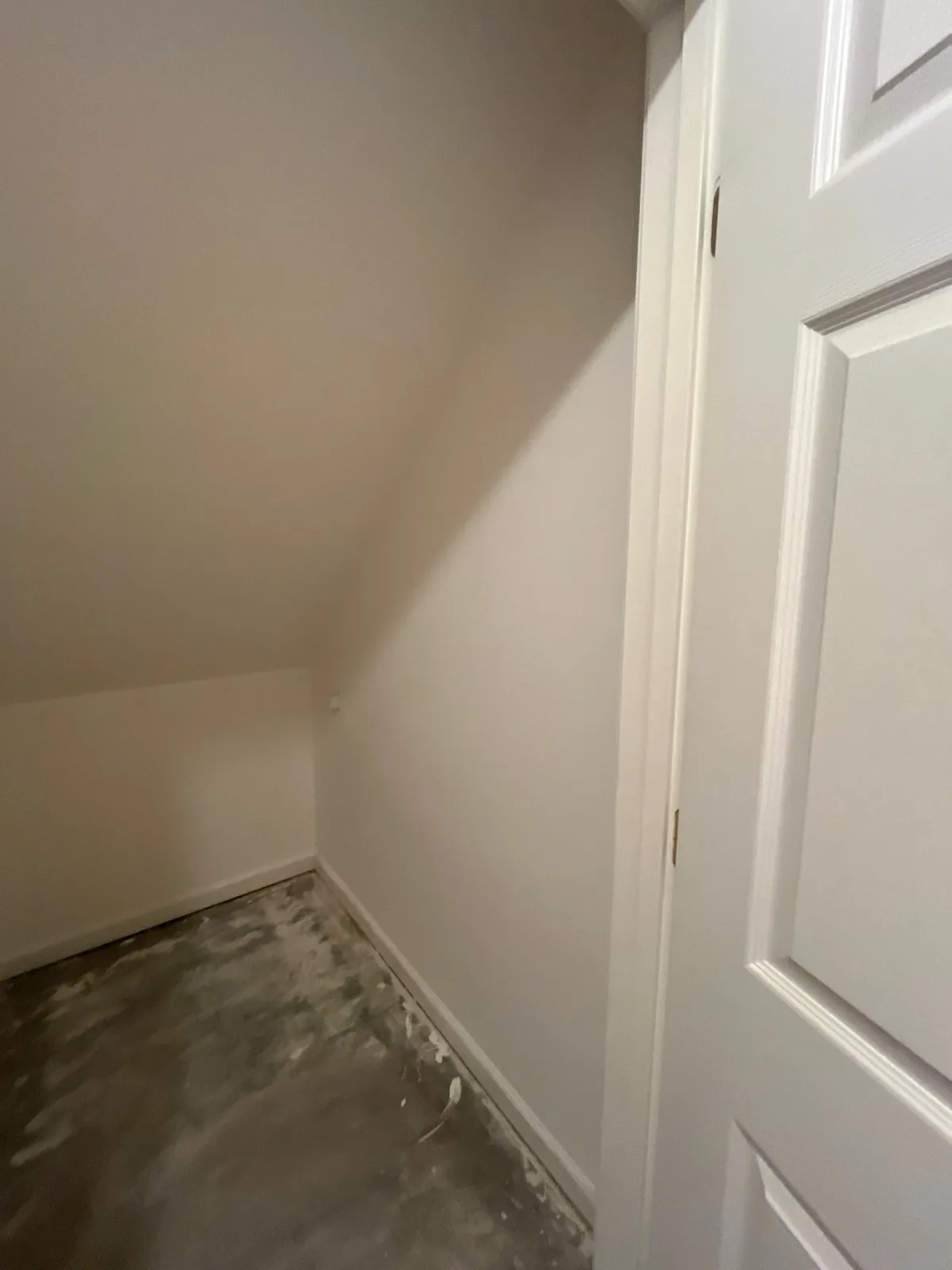 Empty room with unfinished concrete floor, painted wall, and a white door — serving Dallas, GA.