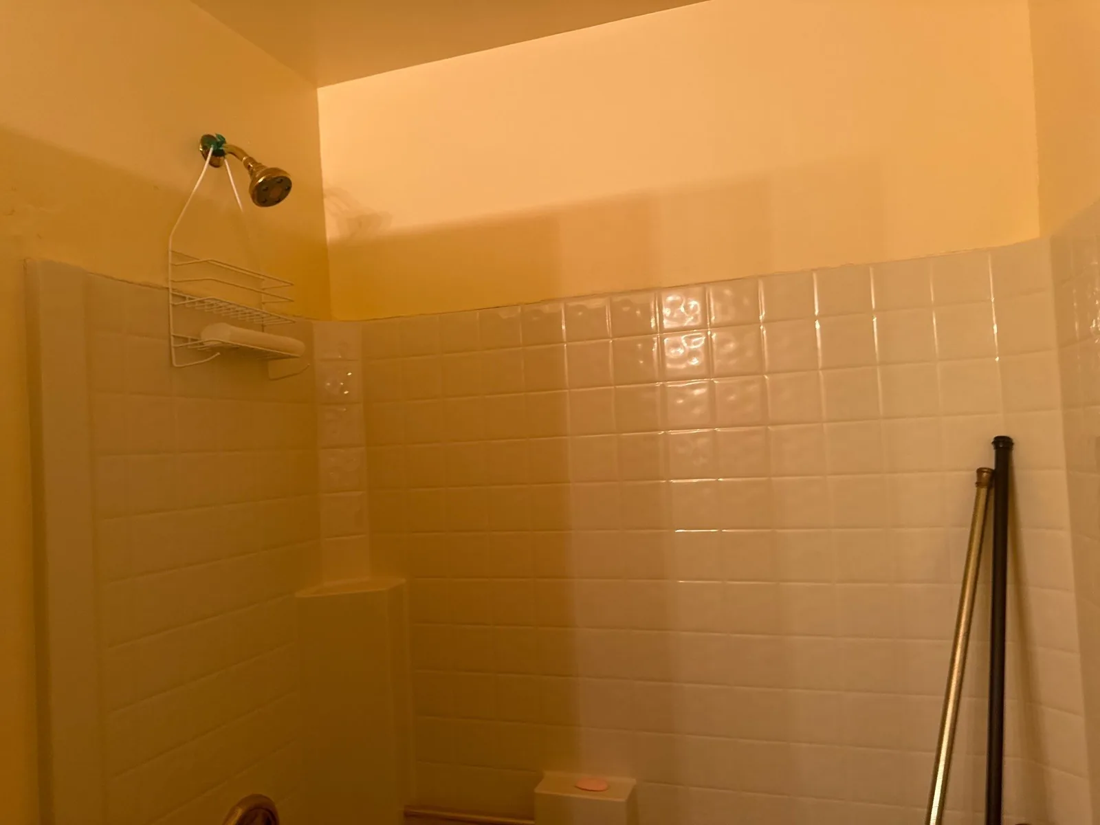 Bathroom shower area with tiled wall, showerhead, and wire shelf — serving Dallas, GA.
