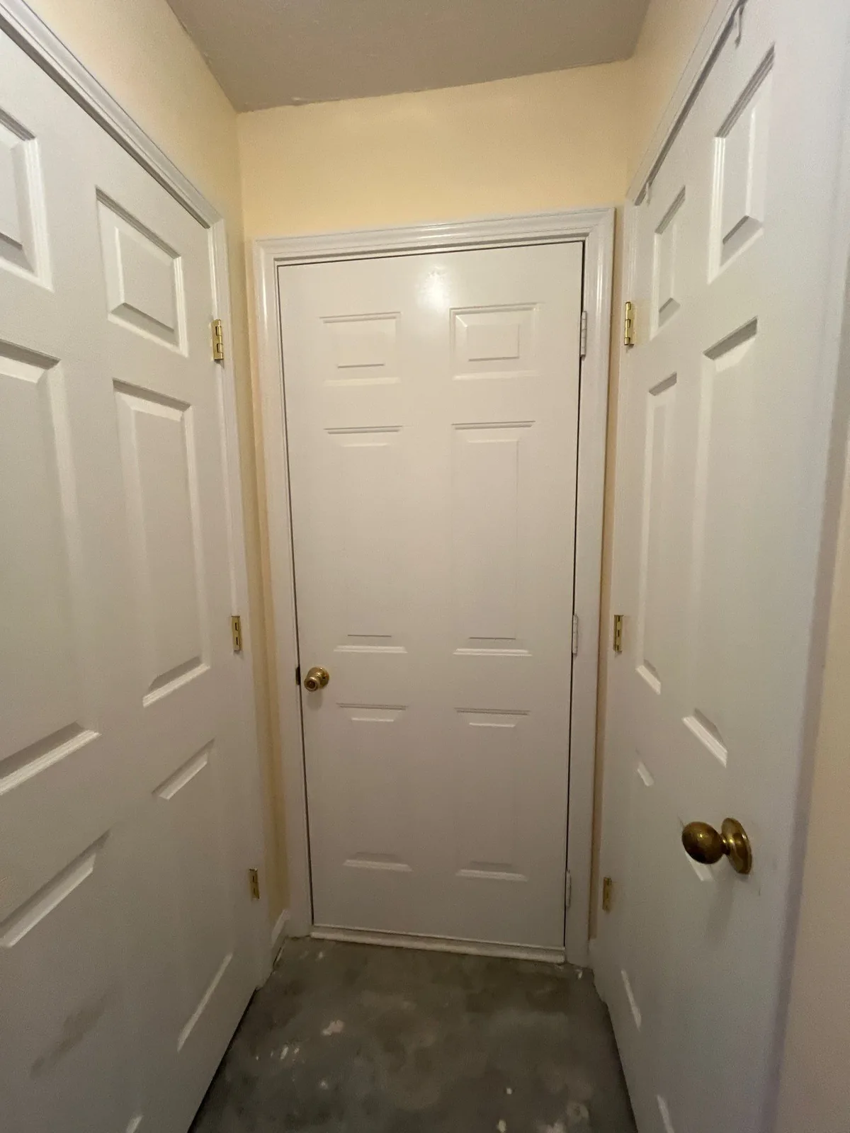 A hallway with three white paneled doors and unfinished flooring — serving Dallas, GA.