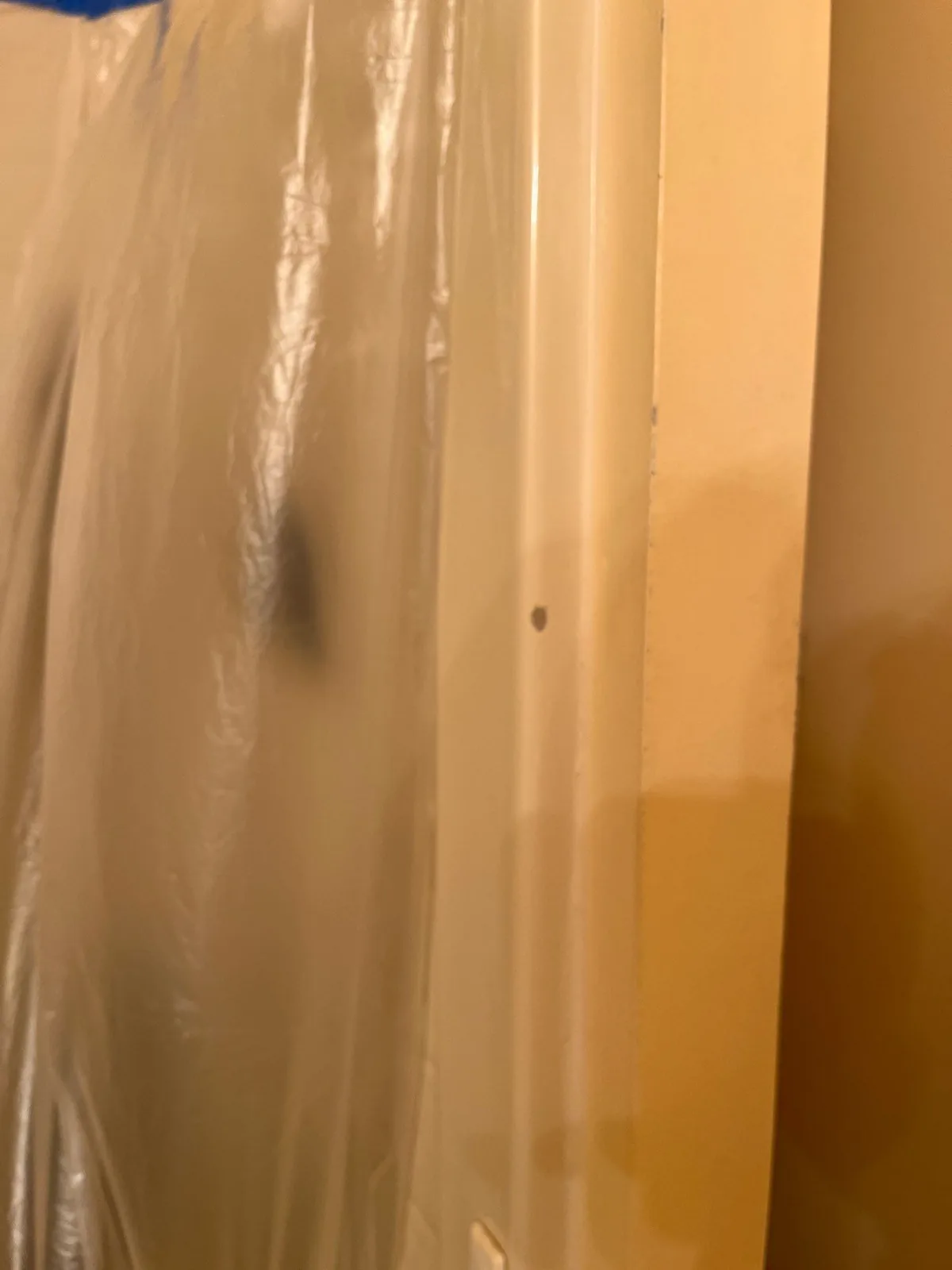 Plastic sheeting taped over a doorway for containment during mitigation work — serving Dallas, GA.