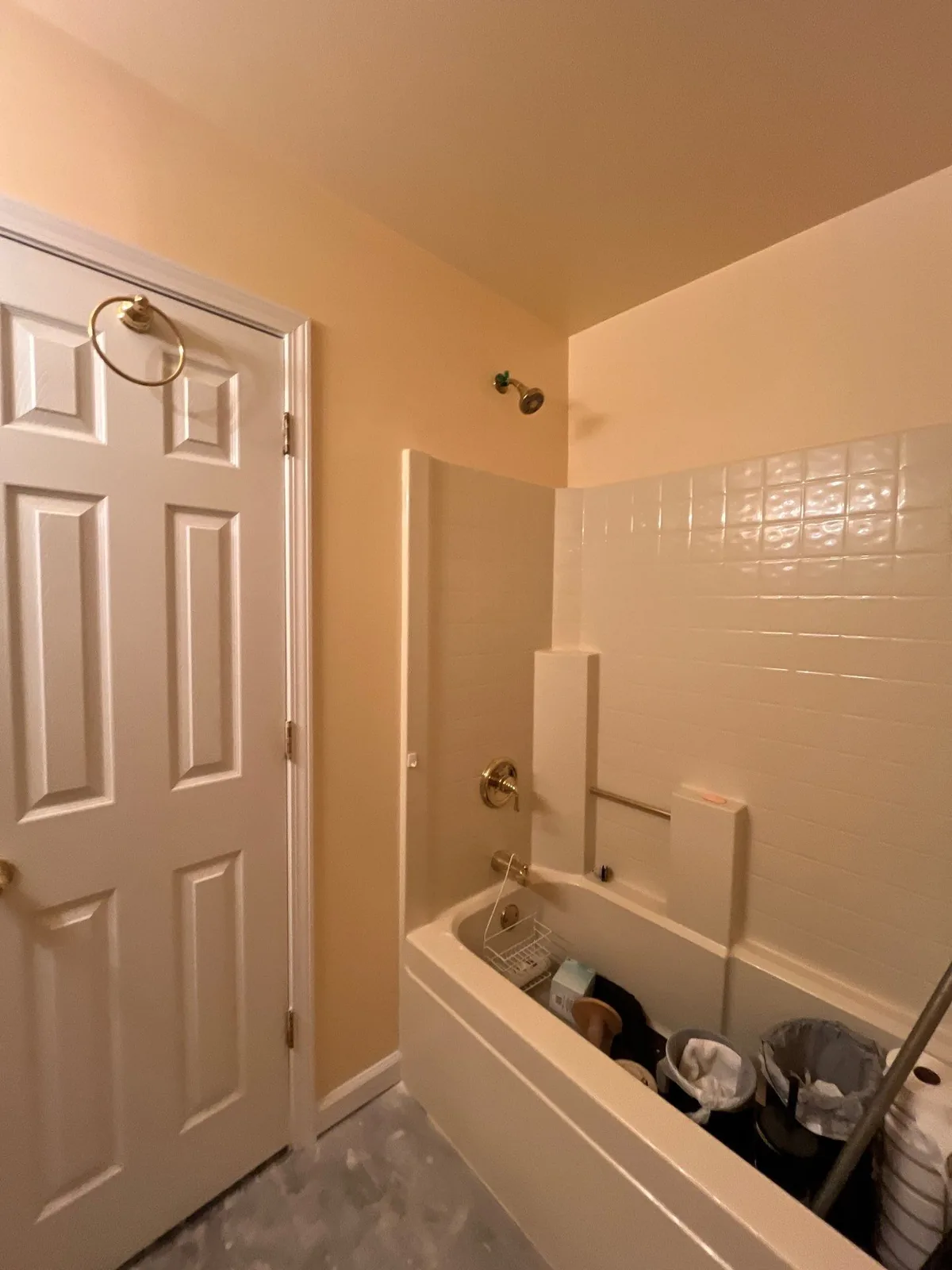 Bathroom under remodeling with bathtub filled with cleaning supplies and showerhead. Tiled walls and closed door with towel ring visible — serving Dallas, GA.