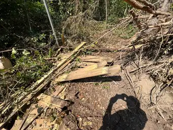 Storm debris field in wooded backyard showing splintered wood planks, downed branches, and uprooted vegetation — Acworth, GA